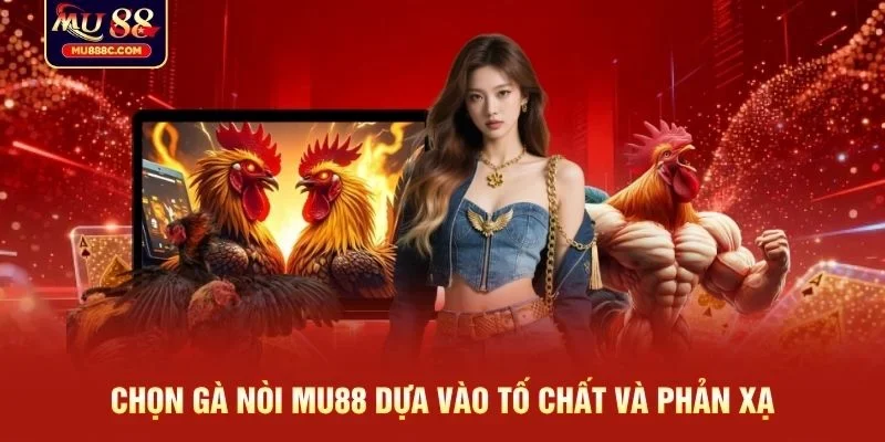 Chọn gà nòi MU88