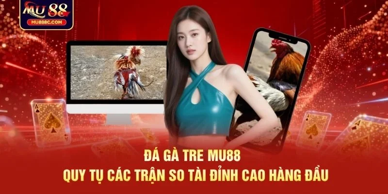Đá gà tre MU88