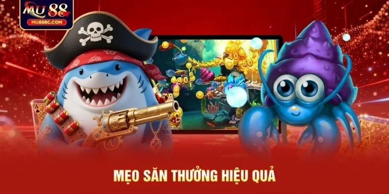 Mẹo săn thưởng hiệu quả 